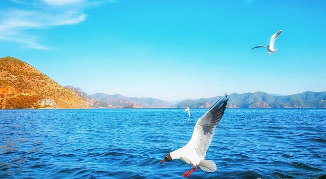 慰問探望生病家屬 點滴關愛暖人心